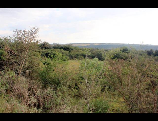 367HA FARM FOR SALE IN KOMGA